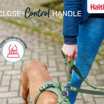 Halti Anatomy Multi Lead feature