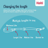 Halti Training Lead — 5 length settings