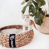 District 70 COCOON - Natural