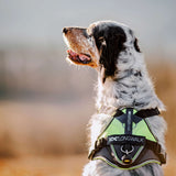 Julius IDC Longwalk Harness – Neon
