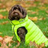Hugo & Hudson Reversible Dog Puffer Jacket - Green and Navy