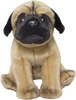 Pug - Fawn