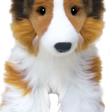 Shetland Sheepdog