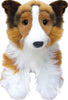 Shetland Sheepdog