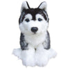 Siberian Husky