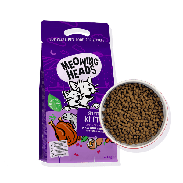 Meowing Heads Smitten Kitten