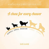 Sweetieland Candy Cane 42 pcs