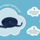 Comapny of Animals Coachi Puppy Training Line - 2.5m