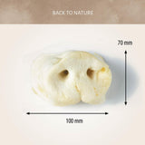 Antos Puffed Pig Snouts