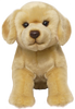 Labrador - Yellow