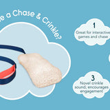 Company of Animals Coachi Chase & Crinkle