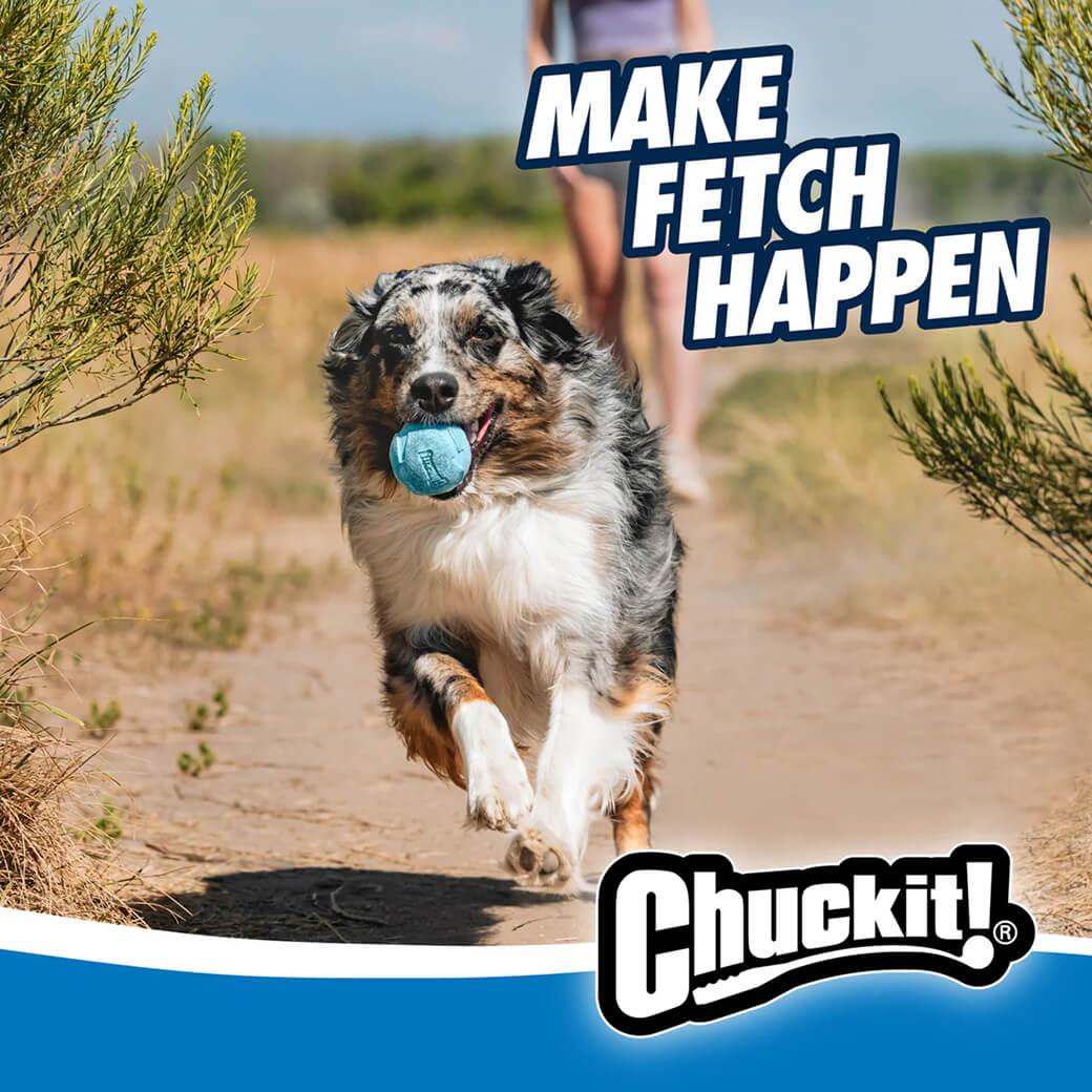 Chuckit!