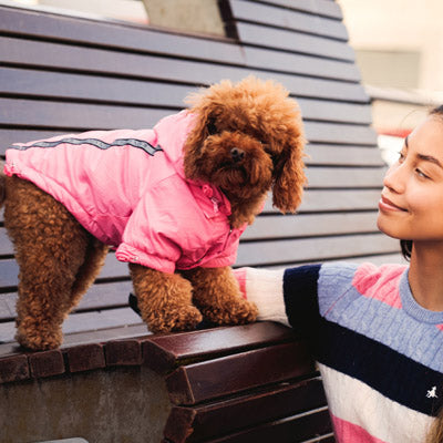Urban Pup