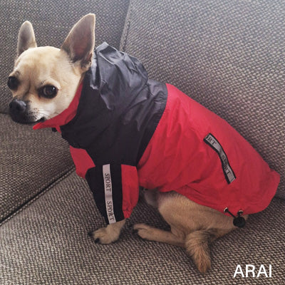 Urban Pup