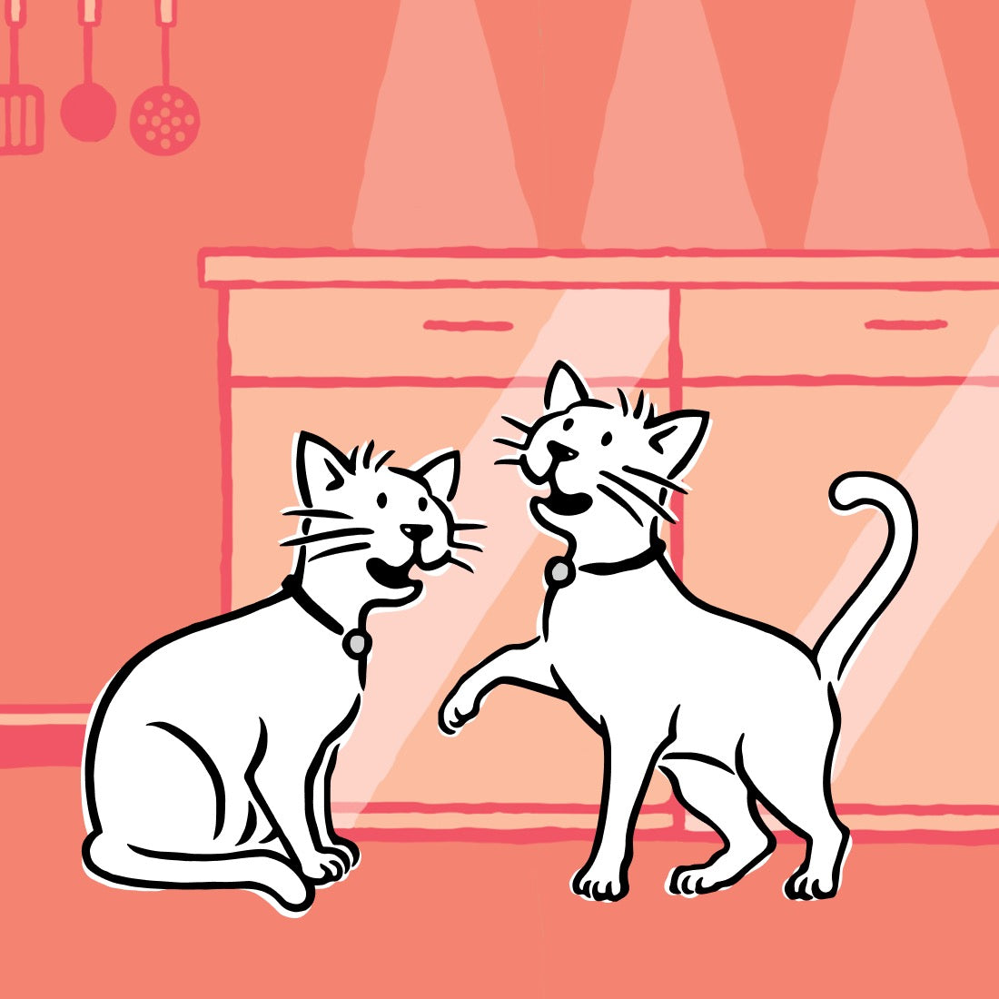 Meowing Heads