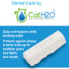 Cat-Dog H2O - Dental Care