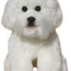 Bichon Frise