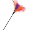 Beeztees Cat Tickler with Feathers