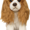 Cavalier King Charles Spaniel - Blenheim