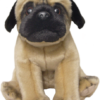 Pug - Fawn