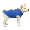 Gooby Zip Up Fleece Blue - Large