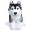 Siberian Husky