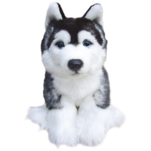Siberian Husky - Dýrabær