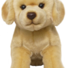 Labrador - Yellow