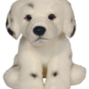 Dalmatian