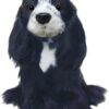 Cocker Spaniel