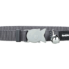 Gloria Kitten Collar - Grey