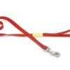 BZ Nylon Leash Uni Red 120x15