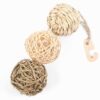 Happy Pet Nature First Ball Hanger