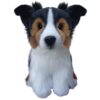 Border Collie - Tricolour