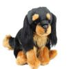Cavalier - Black&Tan