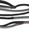 Company of Animals Halti All-In-One Lead Black - Small
