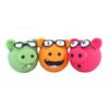 Happy Pet Piggles - Assorted