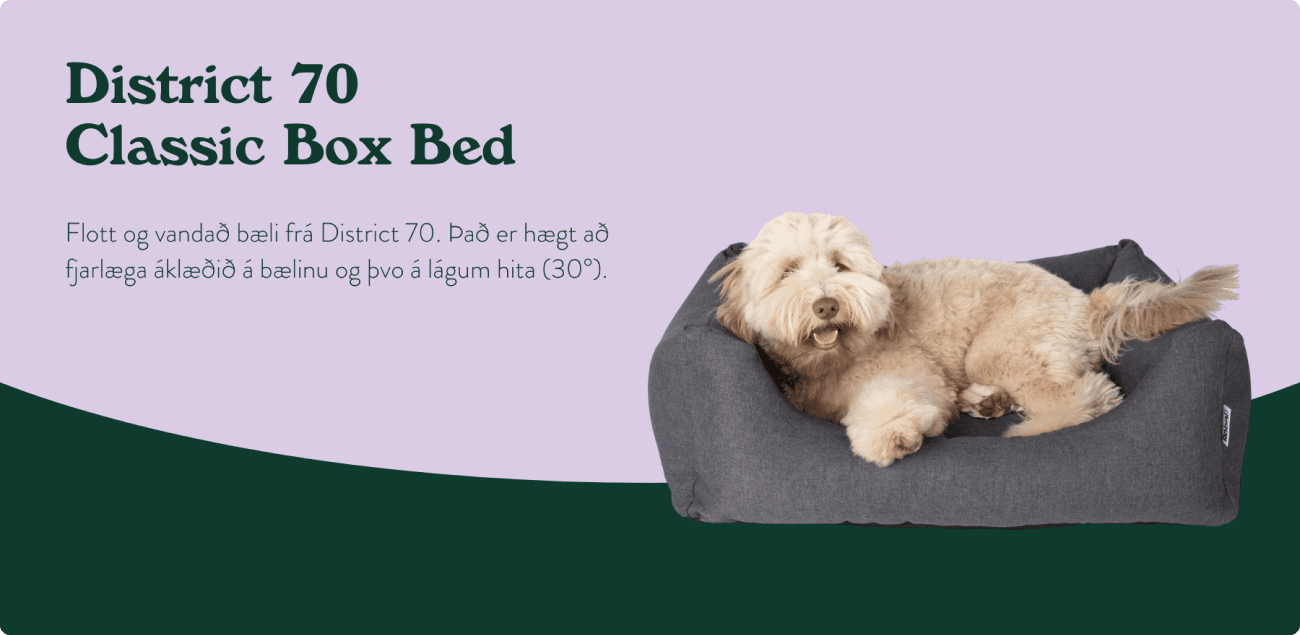 Classic Box Bed for your loved pets