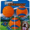 Chuckit! Fetch Medley Medium
