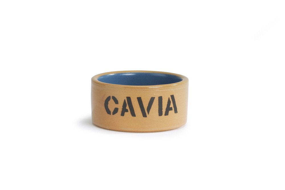 Beeztees Cavia Ceramic Bowl Dýrabær