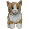 Ginger Cat