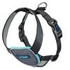 CarSafe Dog Travel Harness Black Large