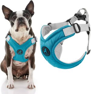 Gooby Memory Foam Step-in Harness Turquoise Xs